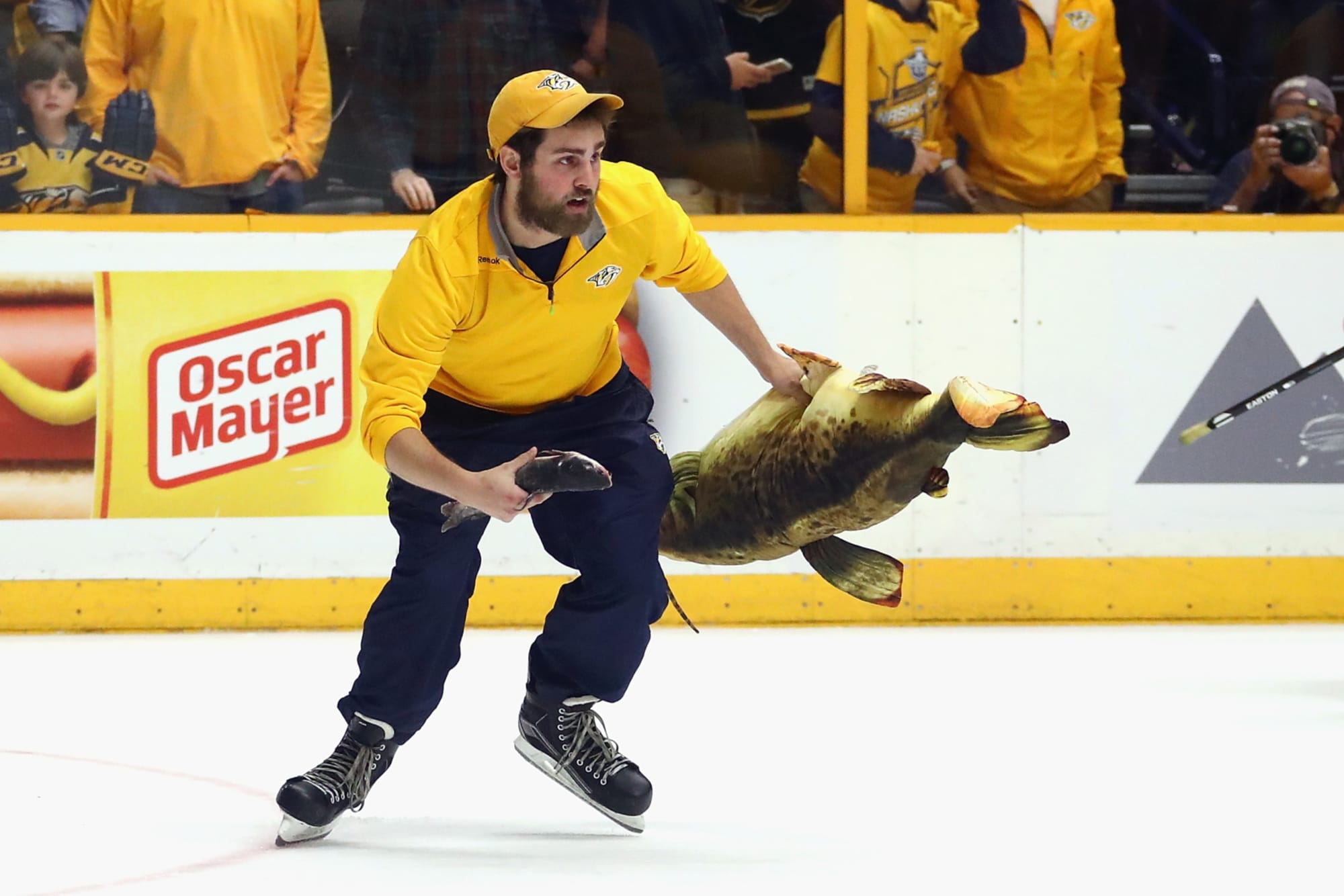 Why do Florida Panthers fans throw rats on the ice?
