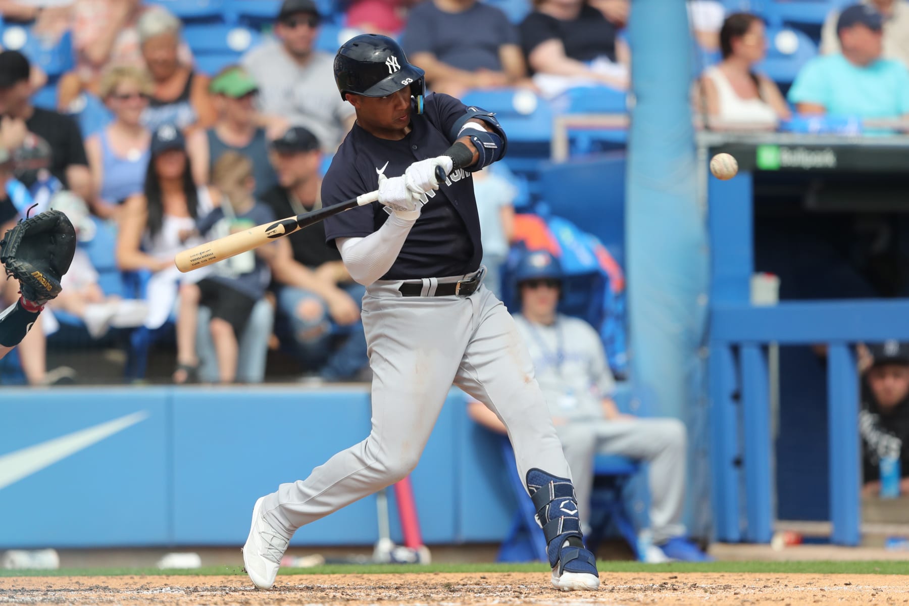 Reports: Yanks calling up prospects Everson Pereira, Oswald Peraza - Field  Level Media - Professional sports content solutions